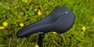 Selle Royal Scientia