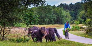 Fiets en Wandelbeurs uitgesteld