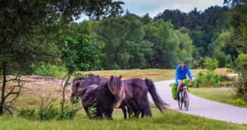 Fiets en Wandelbeurs uitgesteld & Fietsroute van het Jaar