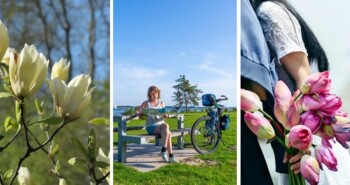 FietsActief editie 1 mét gratis Streekgids Goeree-Overflakkee!