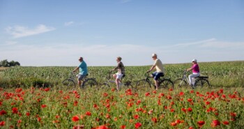 Nieuwe icoonfietsroutes in Vlaanderen