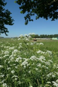 knooppuntenroute Gorinchem