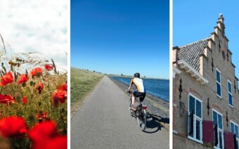 Tip: knooppuntenroute Tholen – 50, 59 of 63 km vol stadjes en strandjes