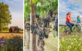 Ontdek de karakteristieke Achterhoek, dé fietsregio van Nederland