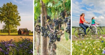 Ontdek de karakteristieke Achterhoek, dé fietsregio van Nederland