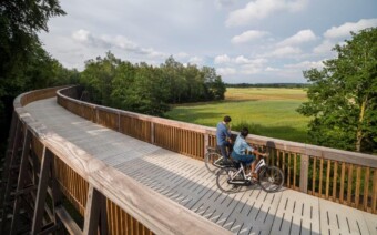 Nieuwe belevenis in Belgisch Limburg: Fietsen door de Heide 