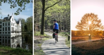 Tip: knooppuntenroute Ermelo – 55 of 65 km vol variatie en verrassingen