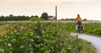 Route Heerenveen – Een vleugje Fries