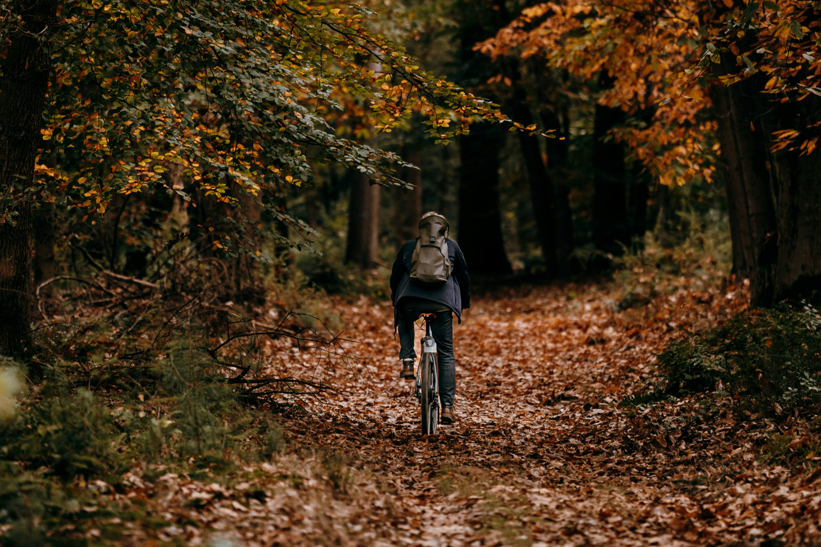 Fietser rijdt over een bospad dat bedekt is met herfstbladeren.