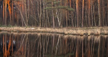 Route Nuth – Terug naar Zuid-Limburgse roots