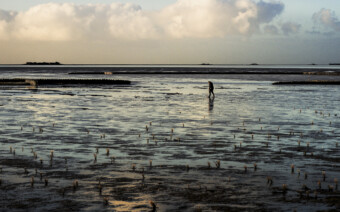 Fietsen in het spoor van Silence of the Tides: Lauwersmeer & Afsluitdijk