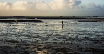 Fietsen in het spoor van Silence of the Tides: Lauwersmeer & Afsluitdijk