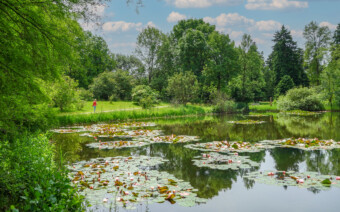 Ontdek natuurpareltjes bij Utrecht: van Bomenmuseum tot Historische Theetuin