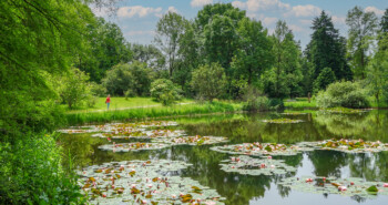 Ontdek natuurpareltjes bij Utrecht: van Bomenmuseum tot Historische Theetuin