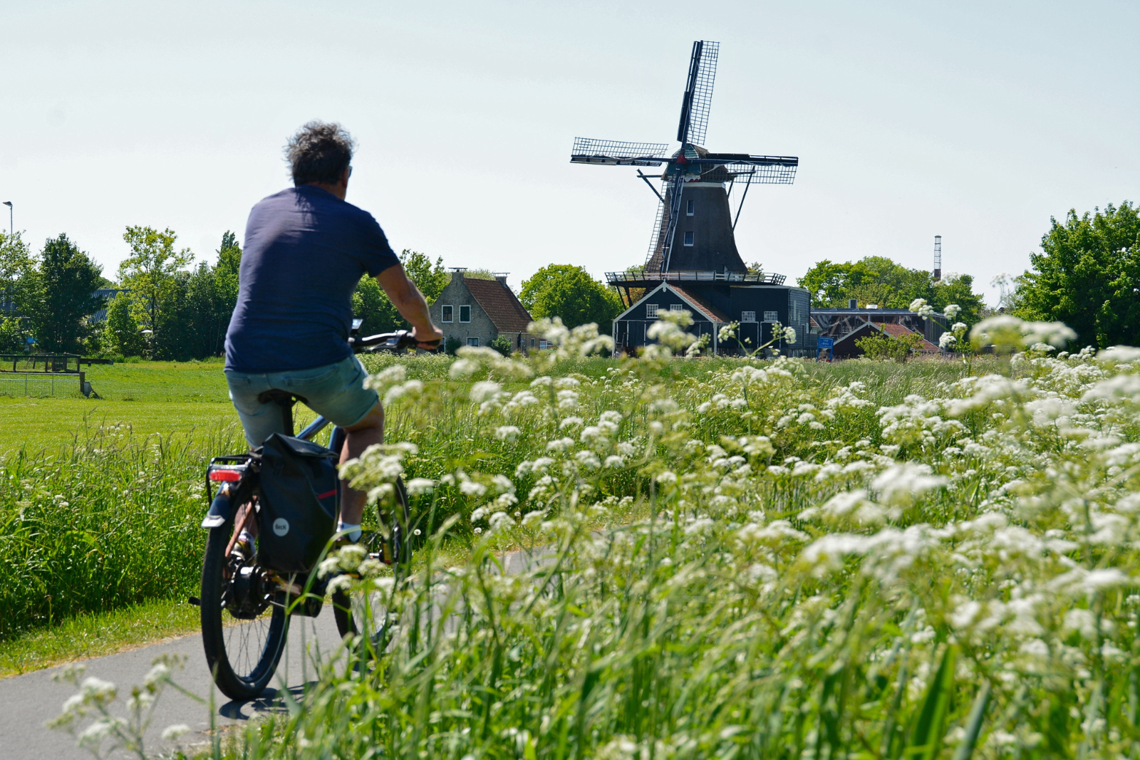 Man fietst door het groene landschap van IJlst met een molen op de achtergrond.
