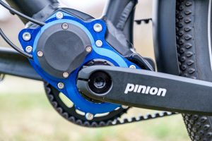 Jongerius Pinion Premium Beltdrive