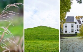 Tip: Knooppuntenroute IJsselmonde – 44 km langs bloemrijke weilanden, bossen en een mysterieuze berg