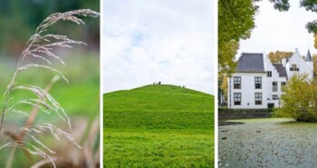 Tip: Knooppuntenroute IJsselmonde – 44 km langs bloemrijke weilanden, bossen en een mysterieuze berg