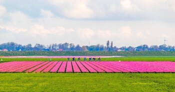 Fietsagenda: 5 leuke tochten en meerdaagsen