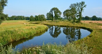 Route Goor – Ruimte voor de Regge (Streekgids Reggestreek)