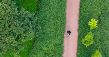 Heikel punt: barstjes in het asfalt