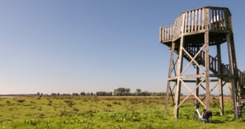 Route Roegwold – Meer dan natuur alleen (Streekgids Midden-Groningen)
