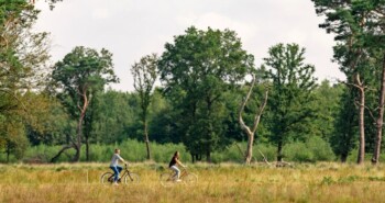 Route Diever- Zomerse fietstocht door Drenthe