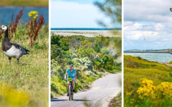 Tip: Knooppuntenroute Schouwen-Duiveland – 43 km langs groene en duurzame plekjes