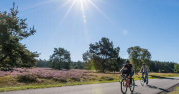 Op de fiets door het Paderborner Land: 3 routes