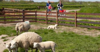 Voorjaar op Texel: Lammetjesradar en nieuwe Lammetjesfietsroute