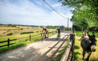 Ga eens gravelbiken in Vlaams-Brabant, dé gravelprovincie