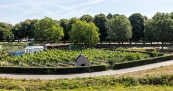 Route Sittard – Nieuwe natuur langs de Grensmaas