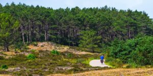 Knooppuntenroute Bergen en Alkmaar