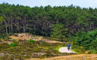 Knooppuntenroute Bergen en Alkmaar – 38 km bijzonder licht, prachtige natuur en kunst