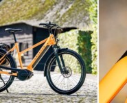 Gazelle Medeo T10 HMB e-bike Proefrit