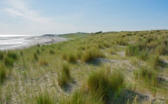 Nieuwe gids: De mooiste plekjes in Zeeland – met fietstips