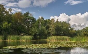Fietsen in natuurgebied KempenBroek: UNESCO Biosfeergebied