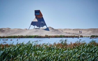 Nieuw: fietsapp Meesterwerk Nederlands Landschap
