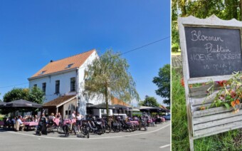 Het groene Brugse Ommeleand – streekgids update!