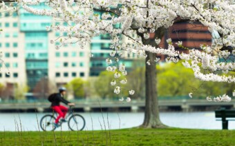 Fiets lenteklaar? In 5 stappen klaar voor het fietsseizoen