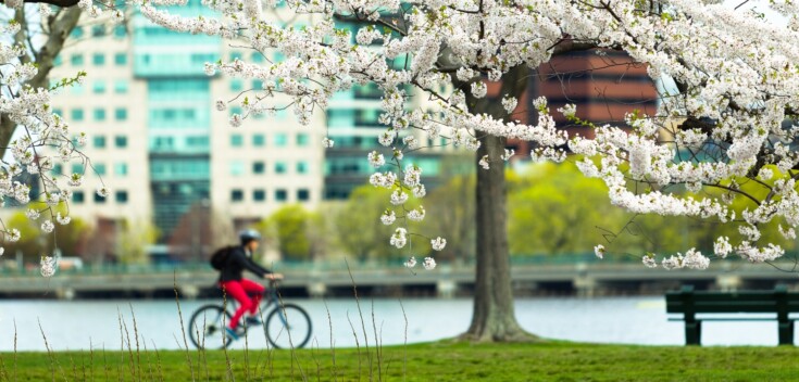 Fiets lenteklaar? In 5 stappen klaar voor het fietsseizoen