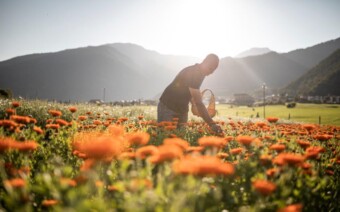 Zuid-Tirol: jongeren geven het goede voorbeeld