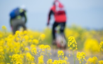 Meimaand Fietsmaand – 7 avontuurlijke fietsroutes in eigen land