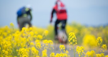 Meimaand Fietsmaand – 7 avontuurlijke fietsroutes in eigen land