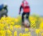 Meimaand Fietsmaand – 7 avontuurlijke fietsroutes in eigen land