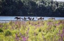 Nieuwe route in Zuid-Limburg: ‘Grenzeloos Verwonderen’
