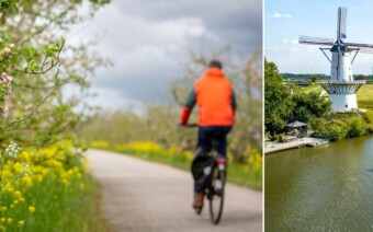 Eens zal de Betuwe weer in bloei staan