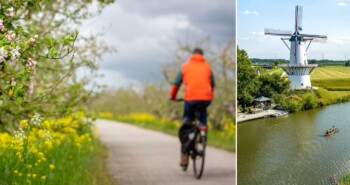 Eens zal de Betuwe weer in bloei staan