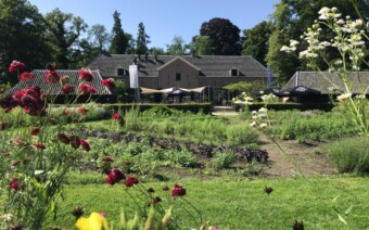 Echt zomer: fietsen langs bierbrouwerijen en theetuinen in de Achterhoek