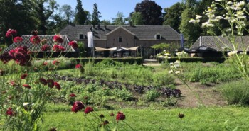 Echt zomer: fietsen langs bierbrouwerijen en theetuinen in de Achterhoek
